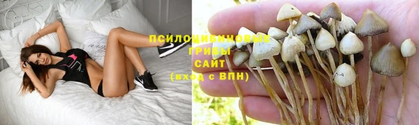 кокс Новозыбков