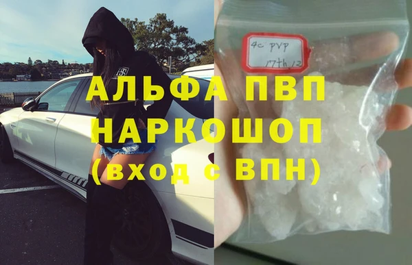 стафф Новокубанск