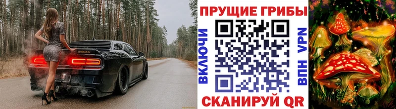 купить закладку  OMG ссылка  Галлюциногенные грибы Psilocybine cubensis  Сосновоборск 